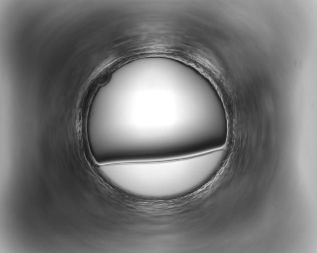 X0000096421450200801240954