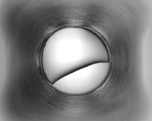 X0000096421451200801240954