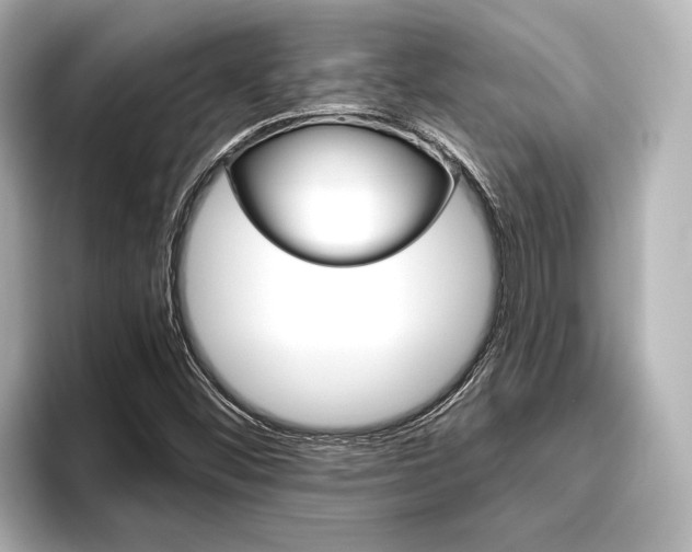X0000096421452200801240954