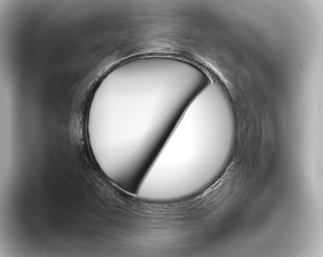 X0000096421455200801240954