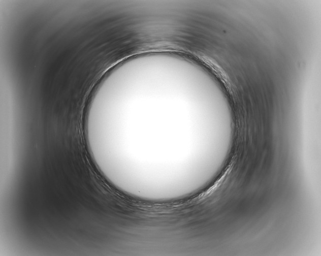 X0000096421457200801240954