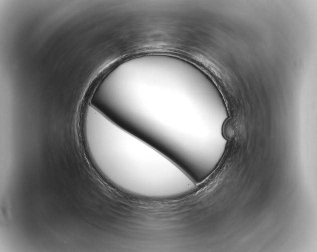 X0000096421458200801240954