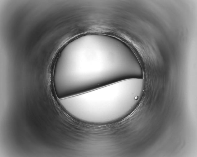 X0000096421459200801240954