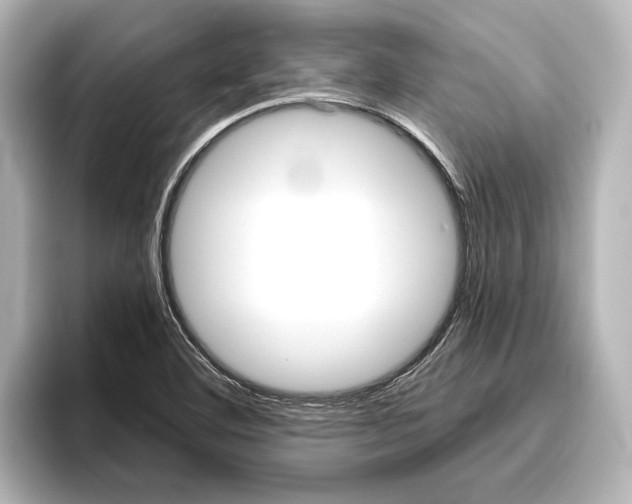 X0000096421460200801240954