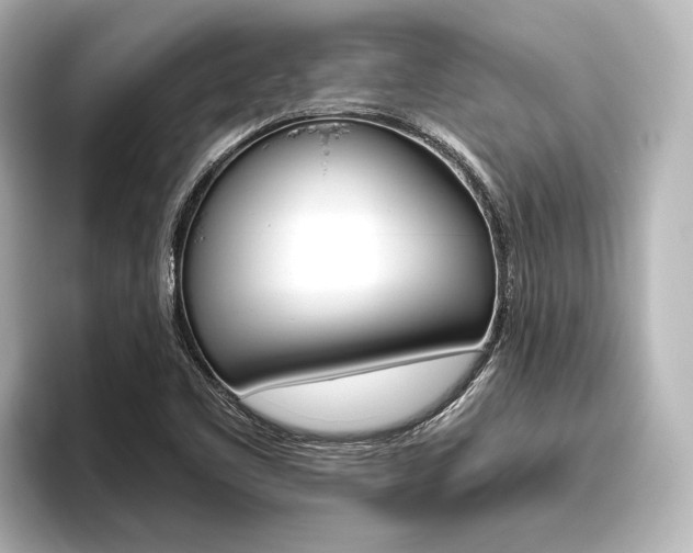 X0000096421461200801240954