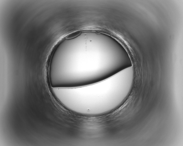 X0000096421463200801240954
