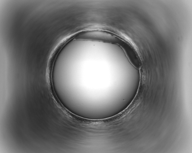 X0000096421464200801240954