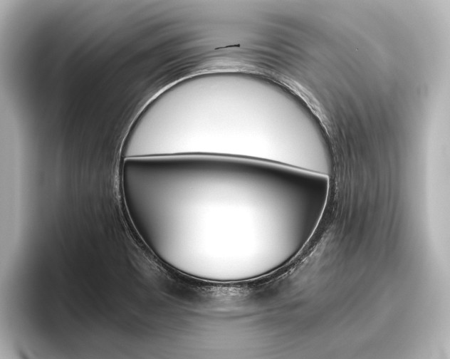 X0000096421465200801240954