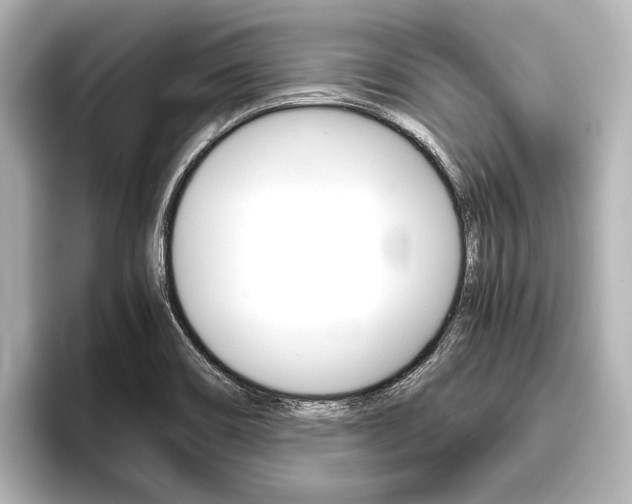 X0000096421466200801240954