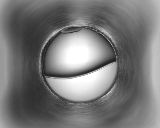 X0000096421469200801240954