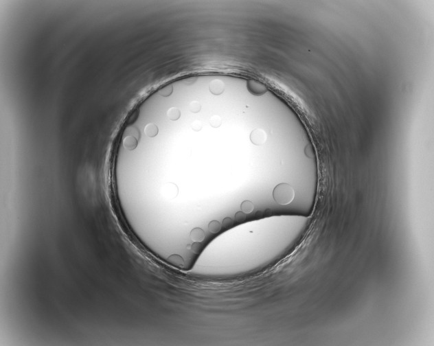 X0000096421471200801240954