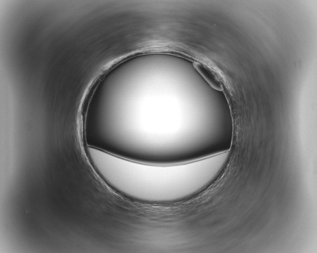 X0000096421472200801240954