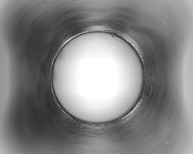 X0000096421473200801240953