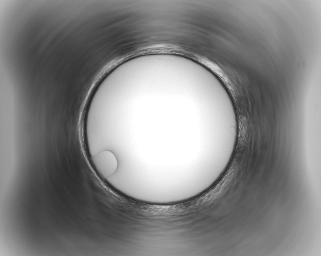 X0000096421474200801240953
