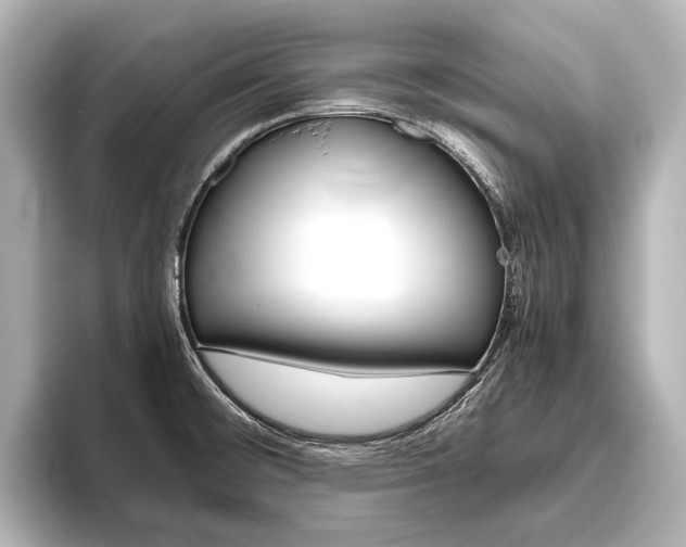X0000096421476200801240953