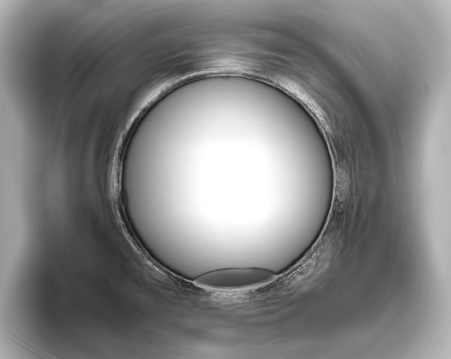 X0000096421477200801240953