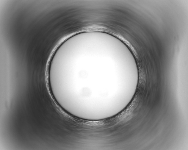 X0000096421478200801240953