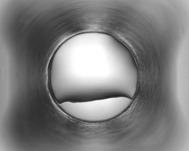 X0000096421479200801240953
