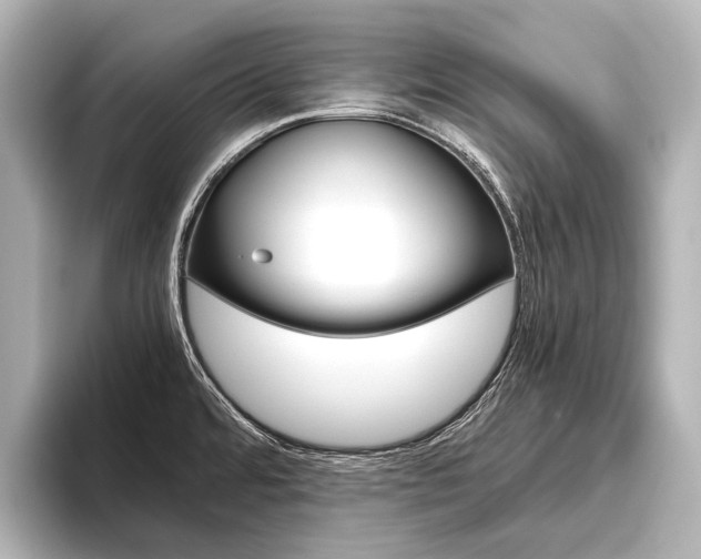 X0000096421480200801240953