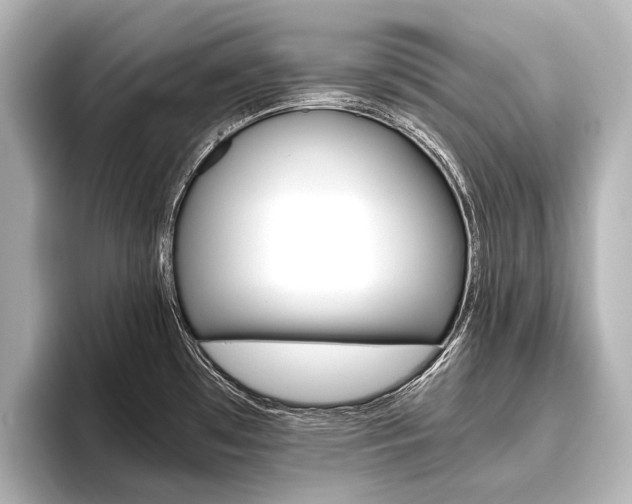 X0000096421481200801240953