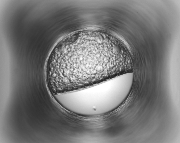 X0000096421483200801240953