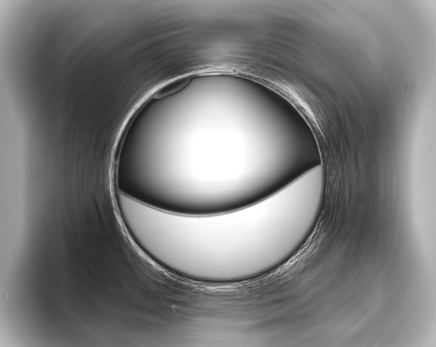 X0000096421484200801240953