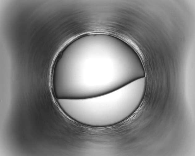 X0000096421485200801240953