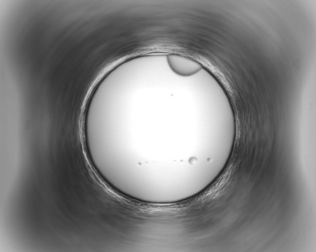 X0000096421486200801240953