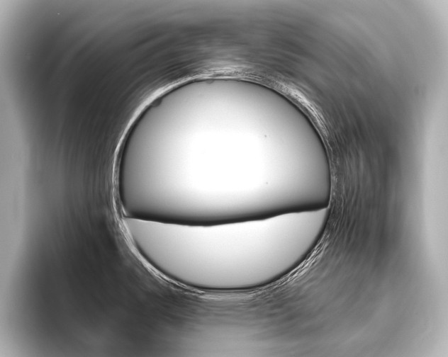 X0000096421487200801240953