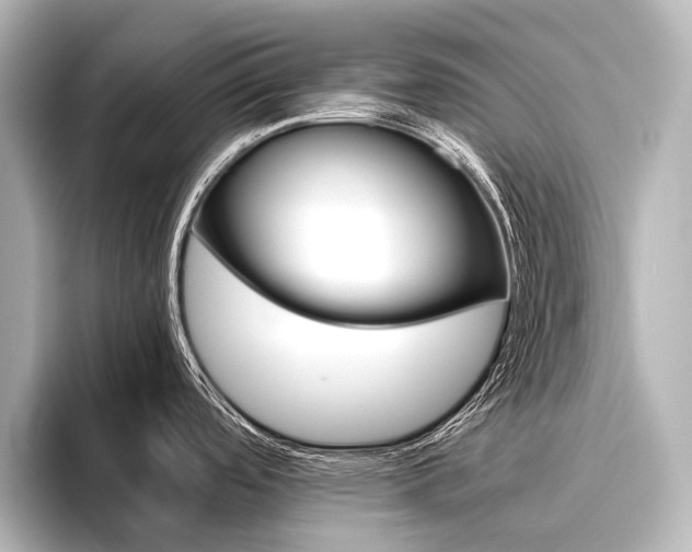 X0000096421488200801240953
