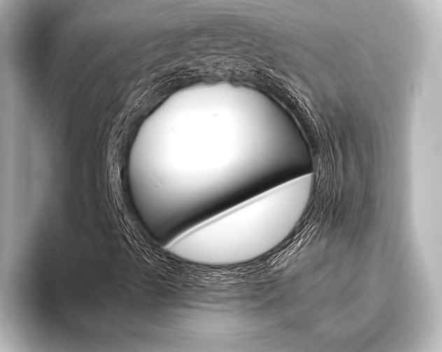 X0000096421489200801240953