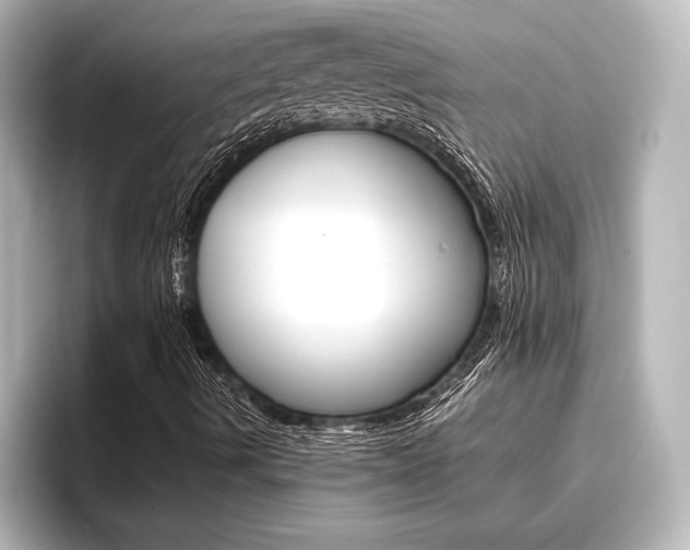 X0000096421490200801240953