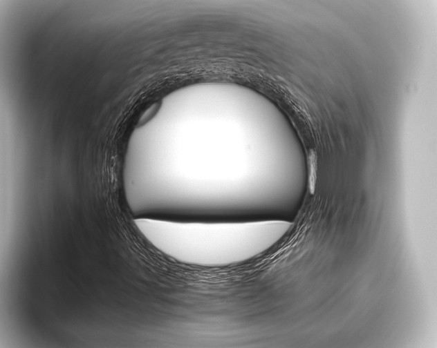 X0000096421491200801240953