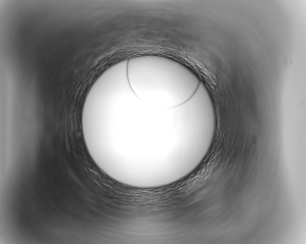 X0000096421492200801240953