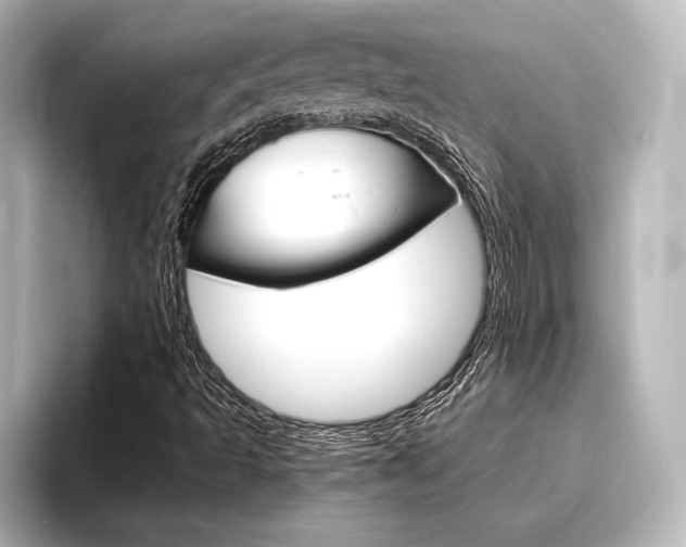 X0000096421493200801240953