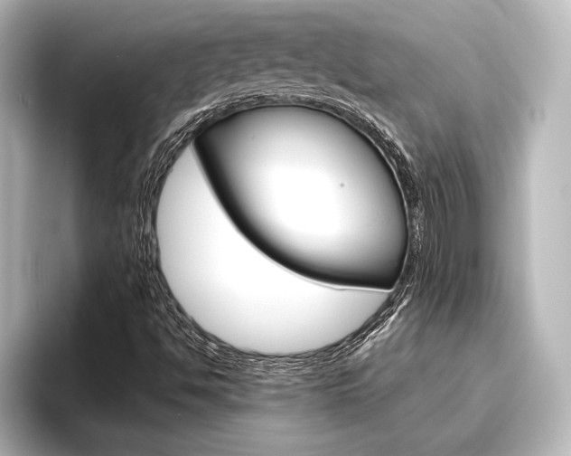 X0000096421494200801240953