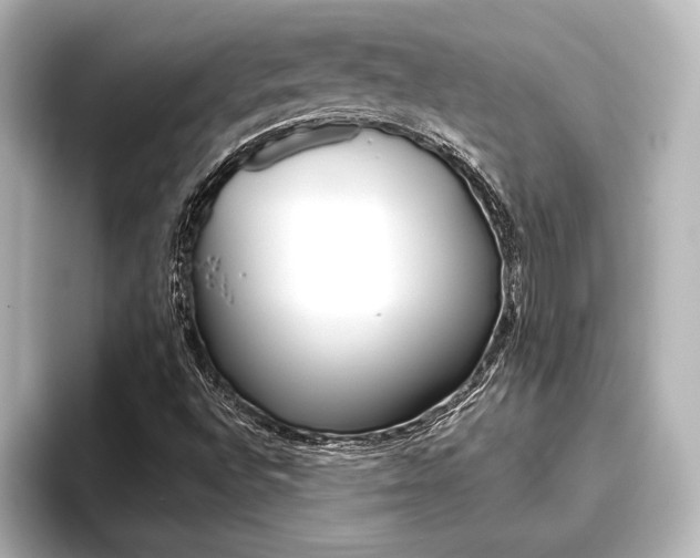 X0000096421496200801240953