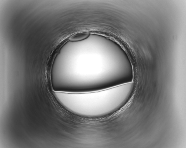 X0000096421497200801240953