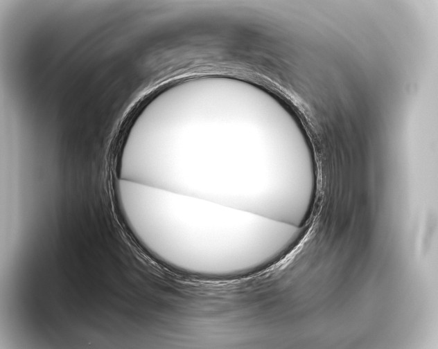 X0000096421498200801240953