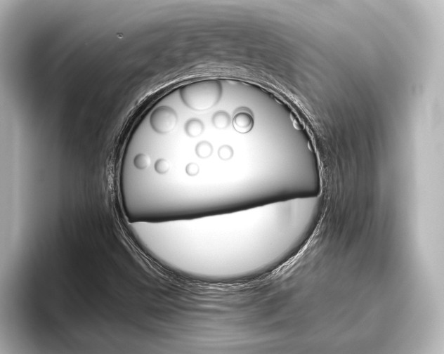 X0000096421499200801240953