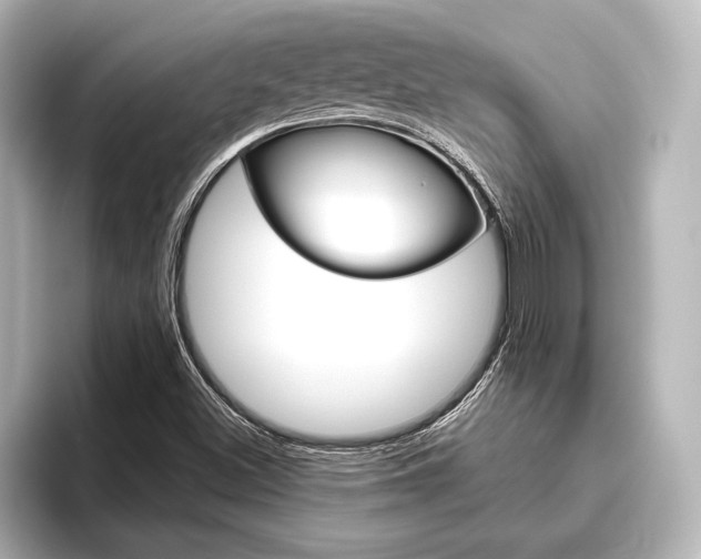 X0000096421500200801240953