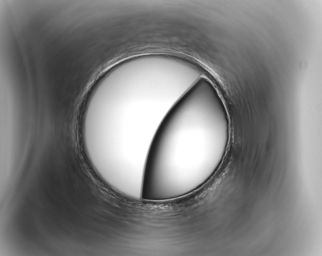 X0000096421501200801240953