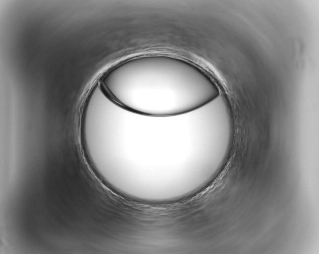 X0000096421504200801240953