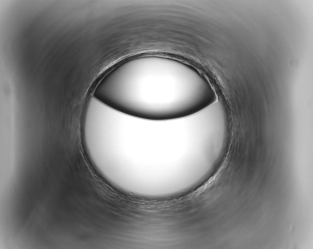 X0000096421505200801240953
