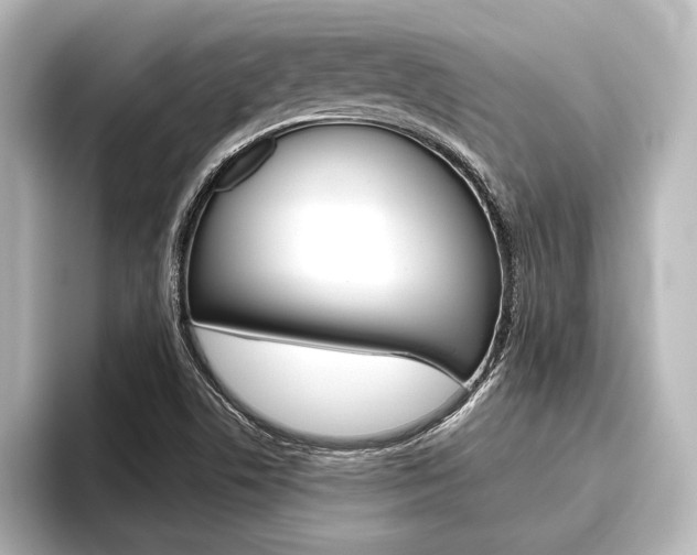 X0000096421506200801240953