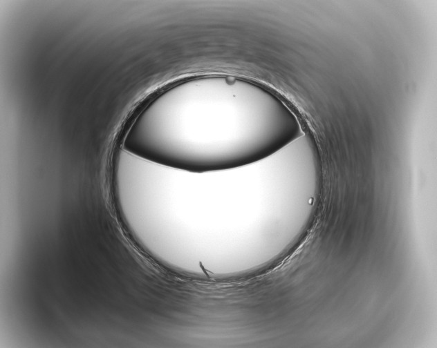 X0000096421507200801240953