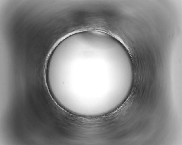 X0000096421508200801240953