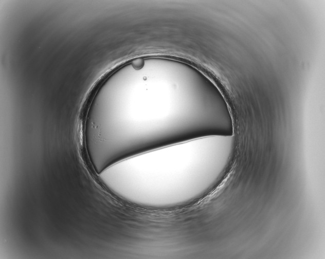 X0000096421509200801240953