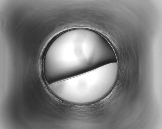 X0000096421511200801240953