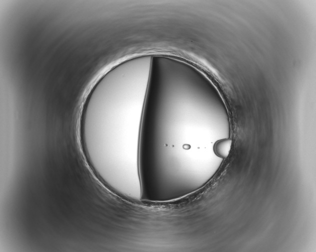 X0000096421512200801240953